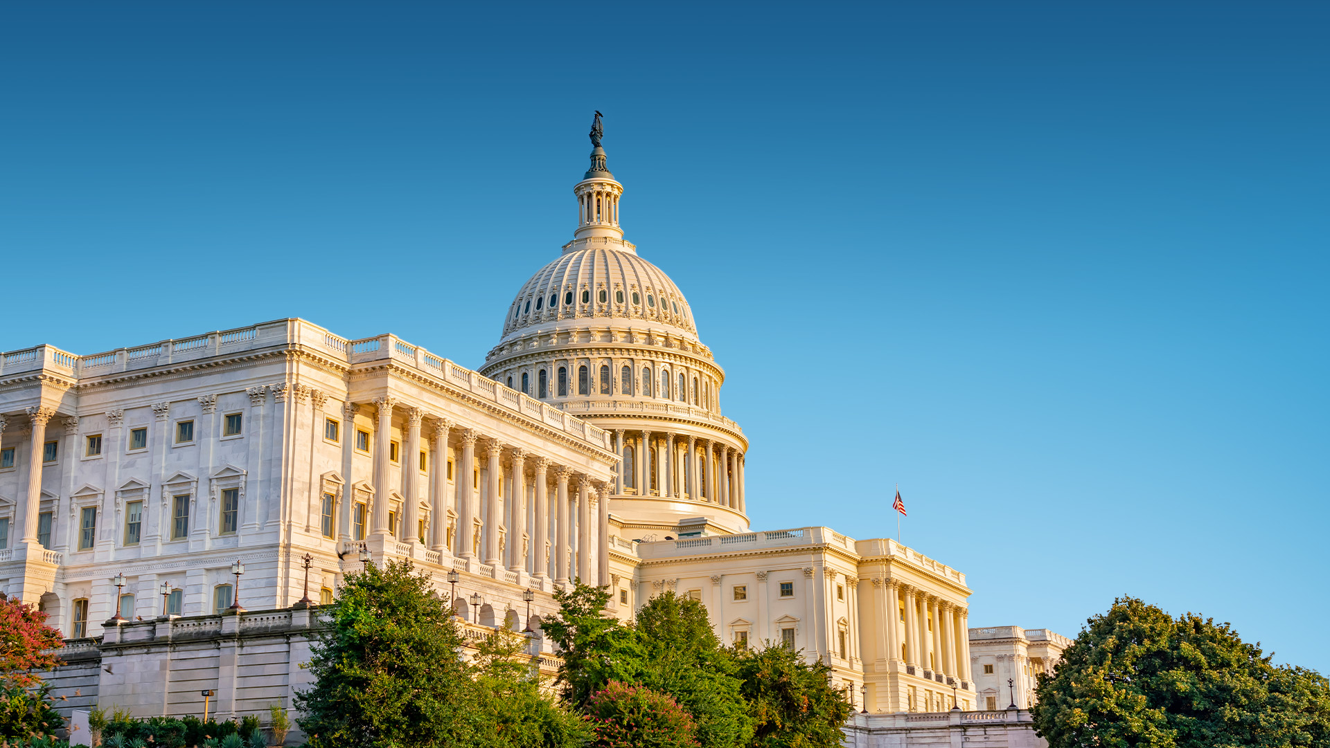 The U.S. Capitol Building bathed in sunlight